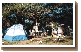 Louchrismar Farm Holidays - Experience a farm holiday at its best - Vryburg, Kuruman, Kalahari, South Africa. Wildlife travel accommodation, tours, animals, Afrika, animals, ecology, environmental education, conservation. Hiking, adventure, camping, trails, tents, caravans